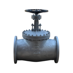 GLOBE VALVE