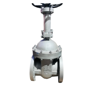 GATE VALVE #300