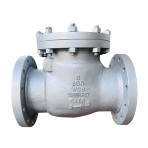 SWING CHECK VALVE #300