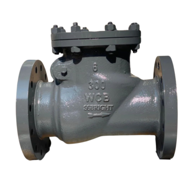 swing check valve #300