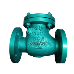 SWING CHECK VALVE #150