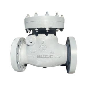 SWING CHECK VALVE #600