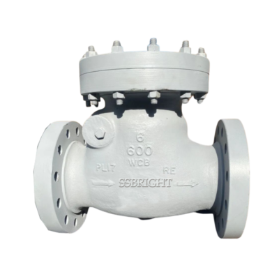 swing check valve #600